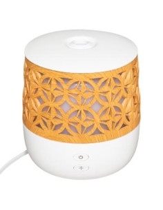 PROFUMATORI: vendita online DIFFUSORE 172764 AROMI 100ML USB in offerta