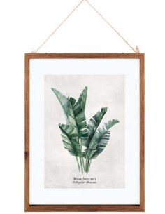 QUADRO 162318 FOGLIE 38X48CM ASSORTITO su Shop in Casa