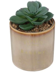 PIANTA 193717A VASO CERAMICA 9,8X14CM su Shop in Casa