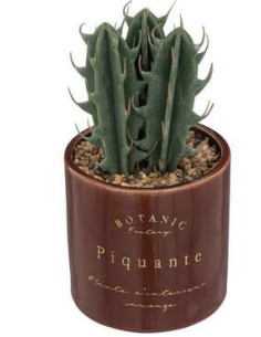 PIANTA 193717C VASO CERAMICA 9,8X19,5CM su Shop in Casa