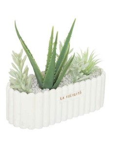 PIANTA 193741 VASO PIETRA 35X12X15CM su Shop in Casa
