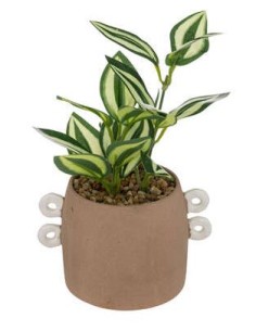 PIANTA 196754 VASO CERAMICA 14,4X10X22CM su Shop in Casa