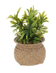PIANTA 196755 VASO INTRECCIO 12,5X20CM su Shop in Casa