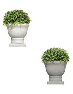 PIANTA 179306 VASO CEMENTO 14X19CM ASSORTITO su Shop in Casa