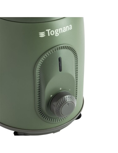 FRULLATORI E TRITATUTTO: vendita online Tognana Iridea Frullatore Elettrico colore Verde Salvia in offerta