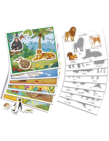 CLEMENTONI MONTESSORI ESPLORA GLI ANIMALI EDUCATIVO E SVILUPPATIVO ...