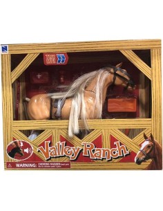 CAVALLO 37605 VALLE RANCH SONORO