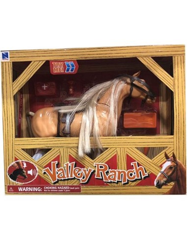 CAVALLO 37605 VALLE RANCH SONORO