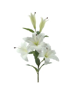 LILIUM 3081 102CM su Shop in Casa