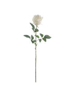 CAPULLO 5161 IMPERIAL ASSORTITO su Shop in Casa