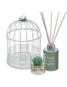 PROFUMATORI: vendita online Cofanetto regalo a gabbia Zen Eucalipto, D. 14 cm – Atmosphera in offerta
