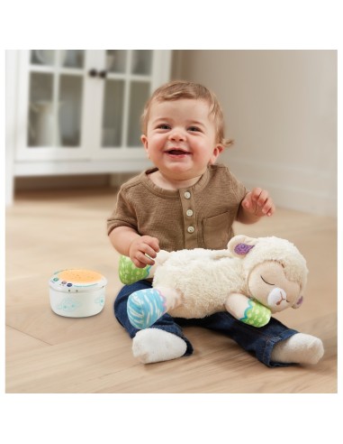 INFANZIA: vendita online BABY 80-550507 LUCE NINNA NANNA PARLANTE in offerta