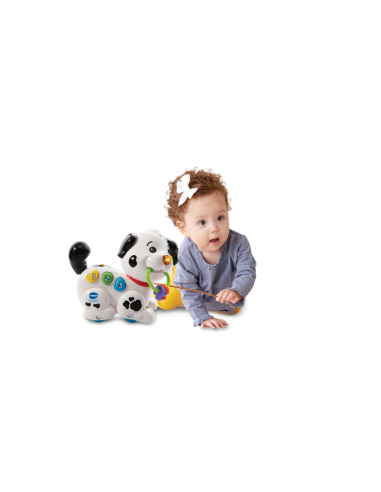 INFANZIA: vendita online BABY 80-502807 MACCHIA CANTA E CAMMINA in offerta