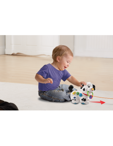 INFANZIA: vendita online BABY 80-502807 MACCHIA CANTA E CAMMINA in offerta