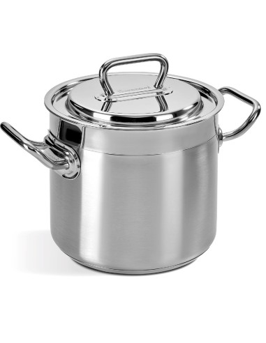 PROFESSIONAL PENTOLA 20CM CON COPERCHI0 su Shop in Casa