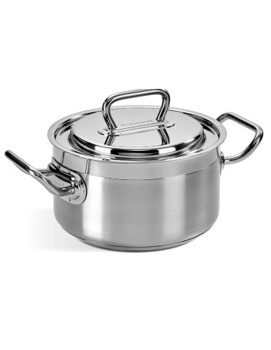 PROFESSIONAL CASSERUOLA 24CM CON COPERCHIO