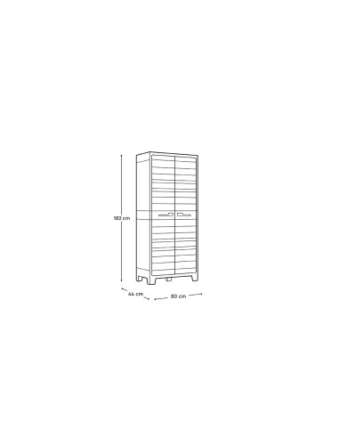 ARMADIETTI: vendita online ARMADIO ALTO PLANET OUTDOOR 80X182X44CM in offerta