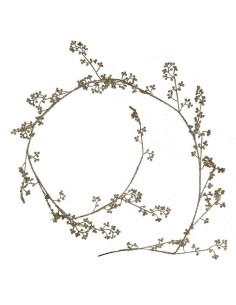 FESTONE PLASTICA ORO CM156 su Shop in Casa