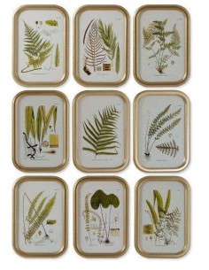 QUADRO CU207788 BOTANICO 3045CM ASSORTITO MDF/CRISTALLO su Shop in ...