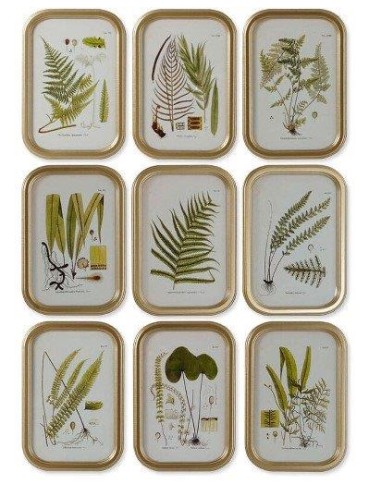 QUADRO CU207788 BOTANICO 3045CM ASSORTITO MDF/CRISTALLO