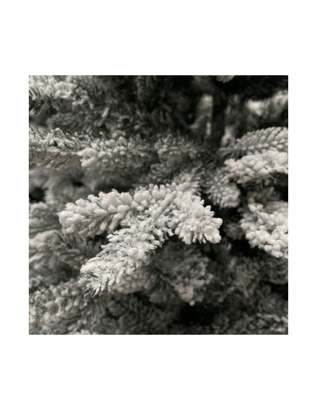 ALBERI DI NATALE: vendita online Albero di Natale "noel" altezza 210cm diametro 137cm con 1000 rami floccato in offerta