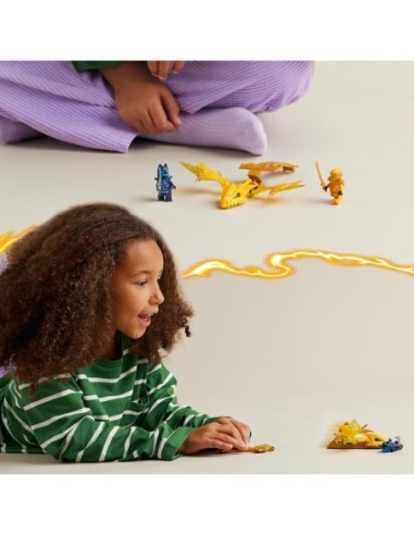 GIOCATTOLO PUBBLICIZZATO: vendita online NINJAGO 71803 ATTACCO DEL DRAGO DI ARIN in offerta