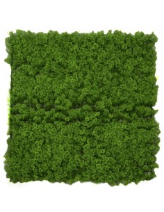 PANNELLO 363288 LICHENE 100X100