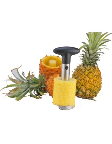 BETA TAGLIA ANANAS 23126 ACCIAIO INOX