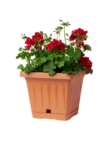 VASI E SOTTO VASI: vendita online VASO TERRA 30399 QUADRATO 20X20 TERRACOTTA in offerta