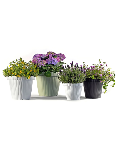 VASI E SOTTO VASI: vendita online VASO ONDA 31391 20CM GRAFITE in offerta