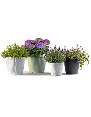 VASI E SOTTO VASI: vendita online VASO ONDA 31451 50CM GRAFITE in offerta