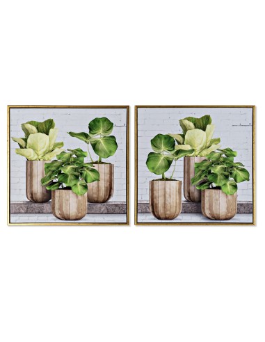 QUADRO TELA CU170529 FIORIERE 52X52CM ASSORTITO su Shop in Casa