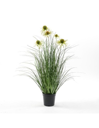 PIANTA 01883 CON VASO 60CM su Shop in Casa