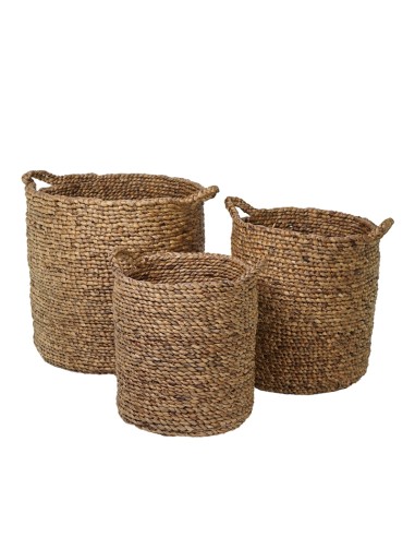 CESTO 138183 1 MIS GIACINTO D'ACQUA NATURALE su Shop in Casa