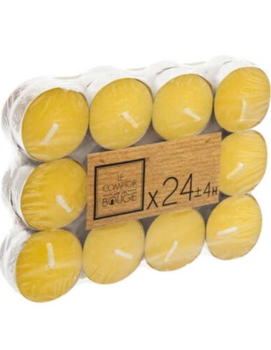 CITRONELLE: vendita online CONF 24 CANDELE 118376BOX CITRONELLA D4CM in offerta