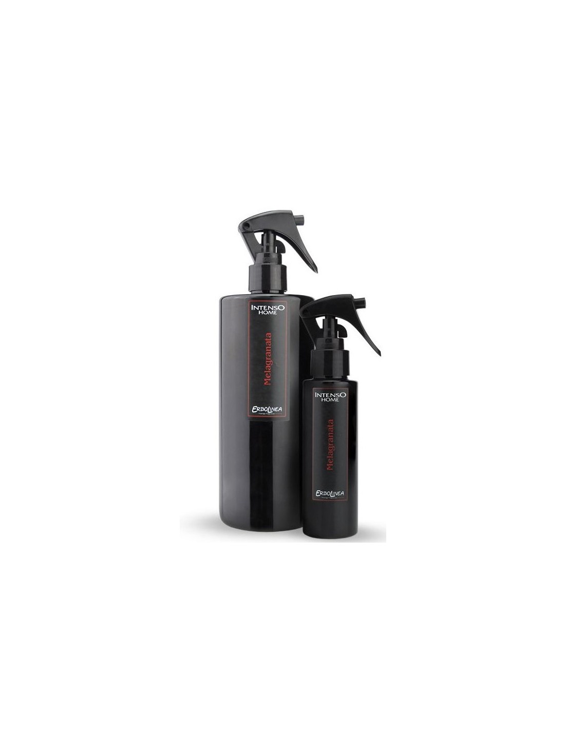 INTENSO PROF SPRAY 100ML MELOGRANO