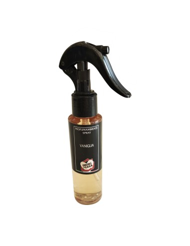 INTENSO PROF SPRAY 100ML VANIGLIA