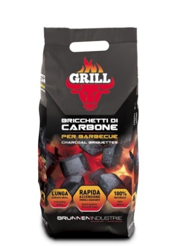 BRICCHETTI DI CARBONE GRILL su Shop in Casa