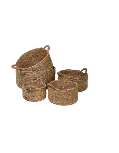 CESTO 138182 5 MIS GIACINTO D'ACQUA NATURALE su Shop in Casa