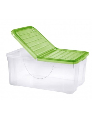 DODO BOX 41,5LT C/COP 57X39X25CM COLORI ASSORTITI su Shop in Casa