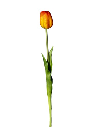 FIORE 18120005-14 TULIPANO ARANCIO 45CM