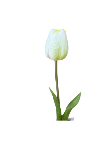 FIORE 18120005-36 TULIPANO BIANCO 45CM su Shop in Casa