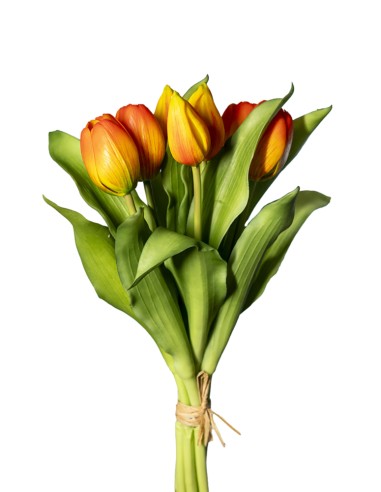 STELO 18120008-14 7 TULIPANI ARANCIO 30CM CON BOCCIOLI su Shop in Casa