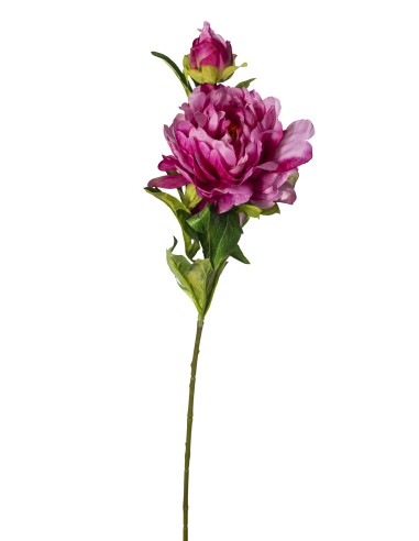FIORE 30020012-12 PEONIA 50CM FUCSIA su Shop in Casa