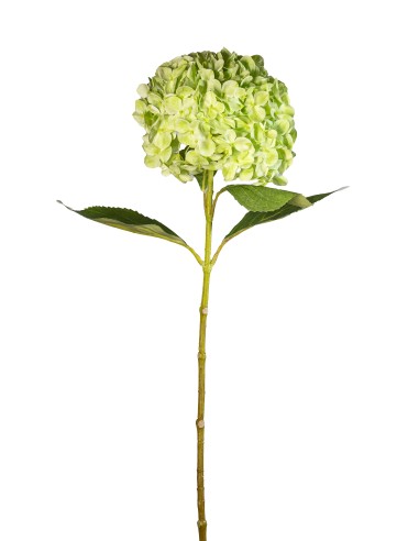 STELO 1821000602 HYDRANGEA 70CM VERDE CHIARO su Shop in Casa