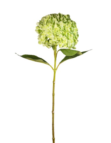 STELO 1821000602 HYDRANGEA 70CM VERDE CHIARO