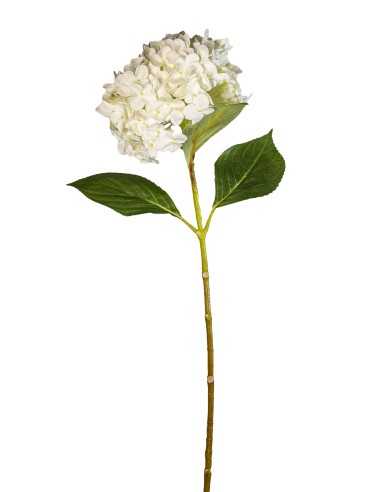 STELO 1821000636 HYDRANGEA 70CM BIANCO su Shop in Casa