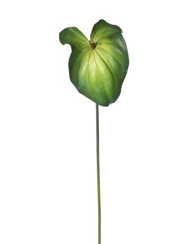 PIANTA 1812002102 ANTHURIUM GIGANTE 90CM VERDE su Shop in Casa