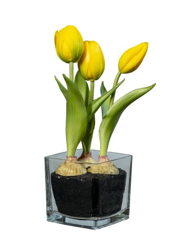 FIORE 1812001313 TULIPANO GIALLO 23CM CON VASO VETRO