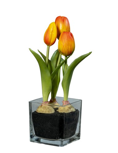 FIORE 1812001314 TULIPANO ARANCIO 23CM CON VASO VETRO su Shop in Casa